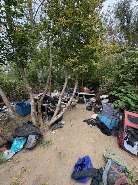 Wooded lot cleanup by Classic Cleanouts (before)
